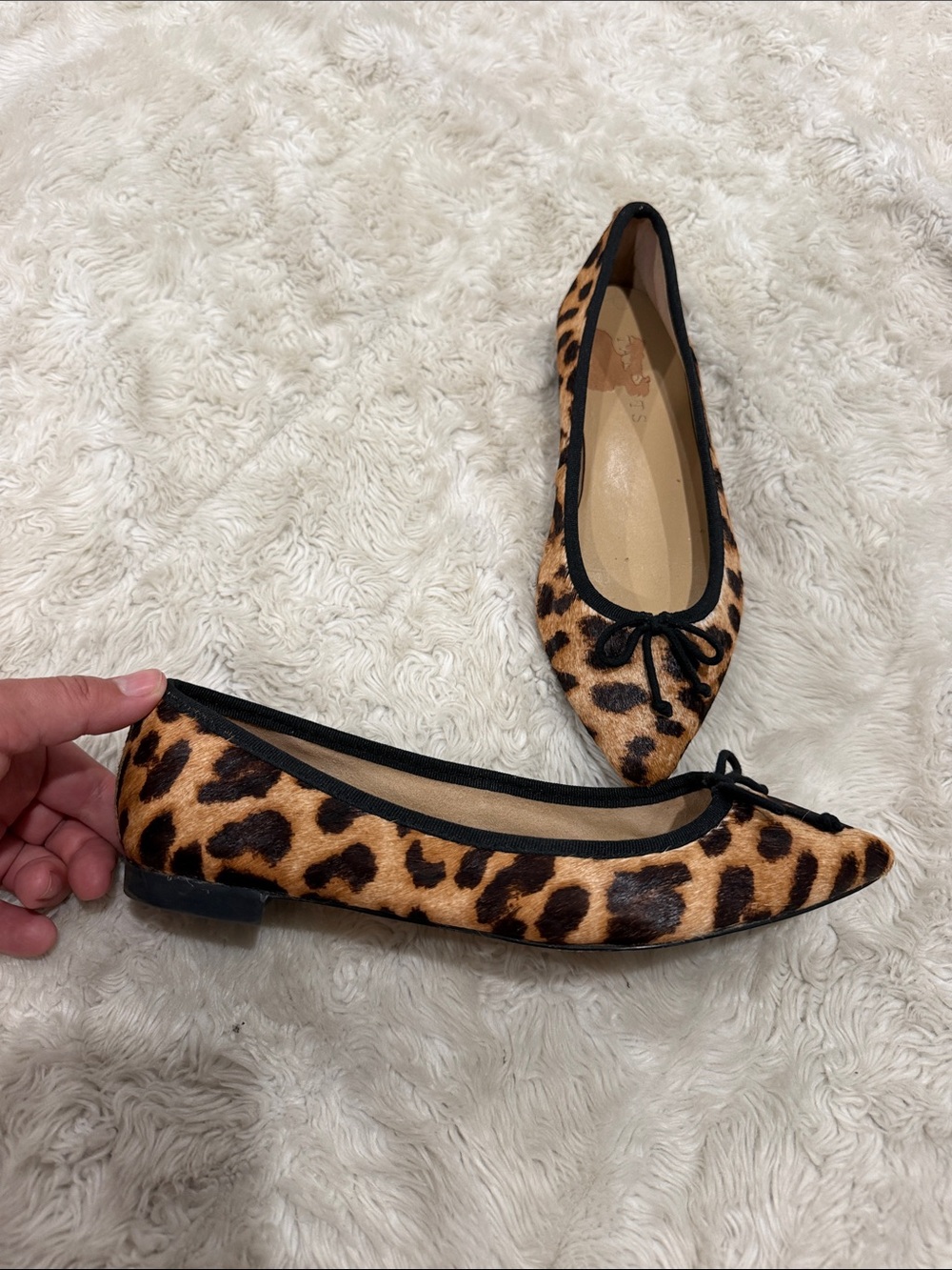 Talbots classic leopard-print pointed toe calf hair ballet flats Woman Size 6.5
